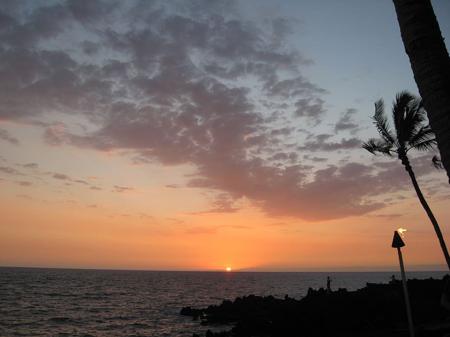 sunset, sea, ocean, torch, palm tree, clouds, sky, water, beauty in nature HD wallpaper