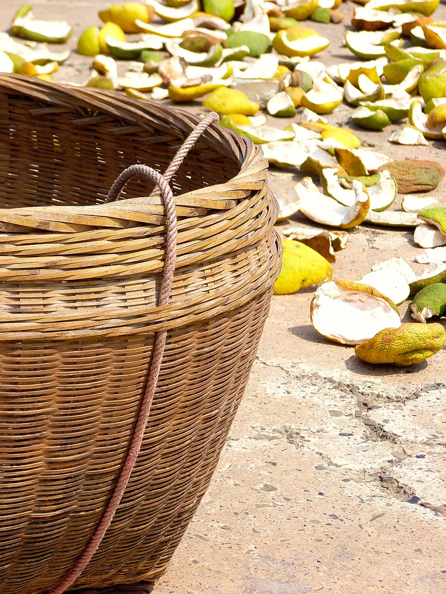 basket, lemon, orange, shell, container, food and drink, freshness HD wallpaper