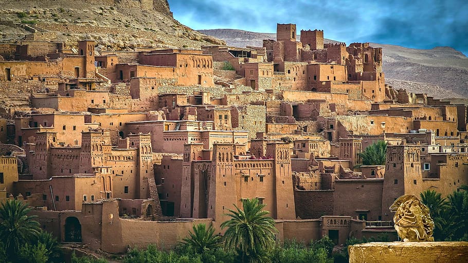 morocco, sparrow, birds, architecture, building exterior, built structure HD wallpaper