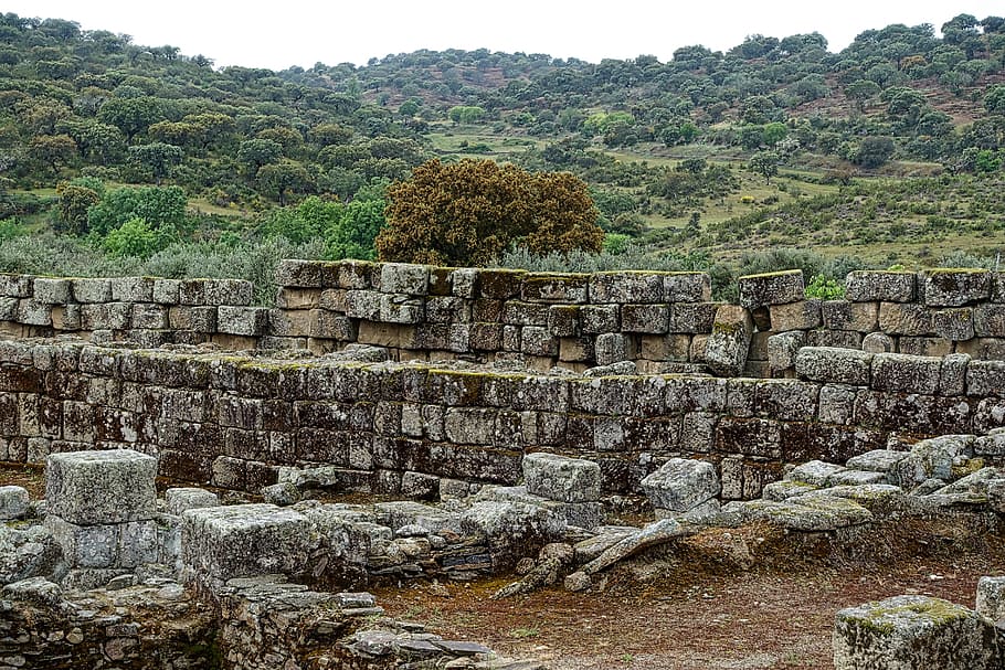 gray rock near trees, Stone Wall, Blocks, Broken, Ancient, ruins HD wallpaper