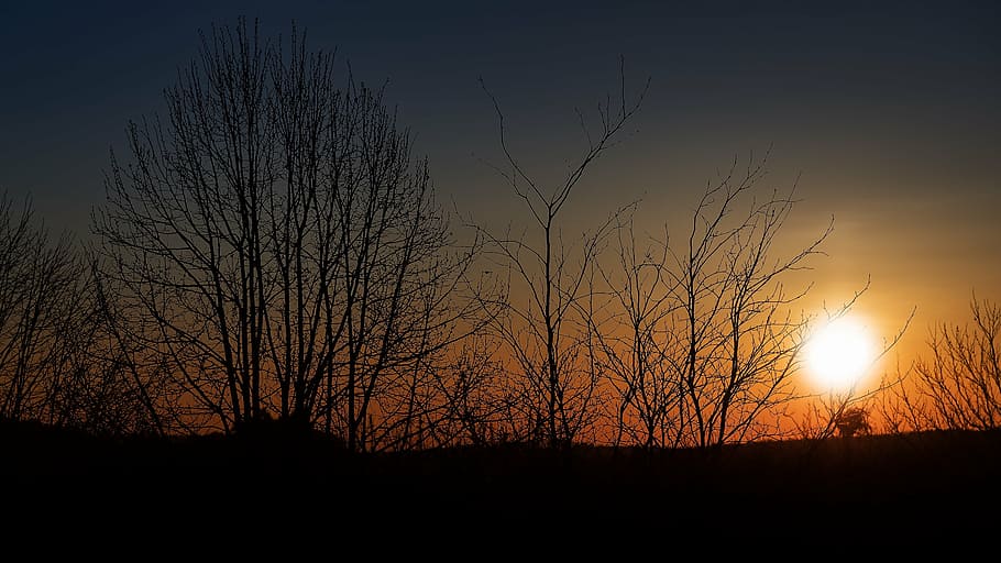 sunset, silhouette, trees, evening, mood, evening sun, back light HD wallpaper