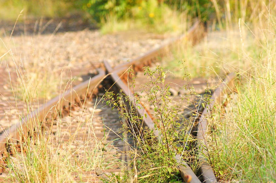 soft, overgrown, track, mystical, lapsed, seemed, rusted, shut down HD wallpaper