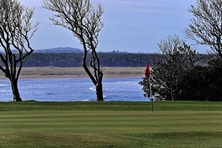 golf, golf course, green, grass, sport, sky, game, nature, landscape HD wallpaper