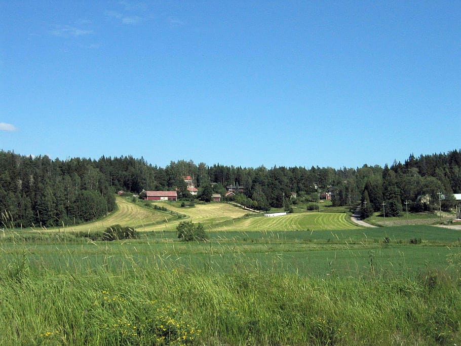 Rural hills of Sotunki in Finland, farm, fields, photos, grass HD wallpaper