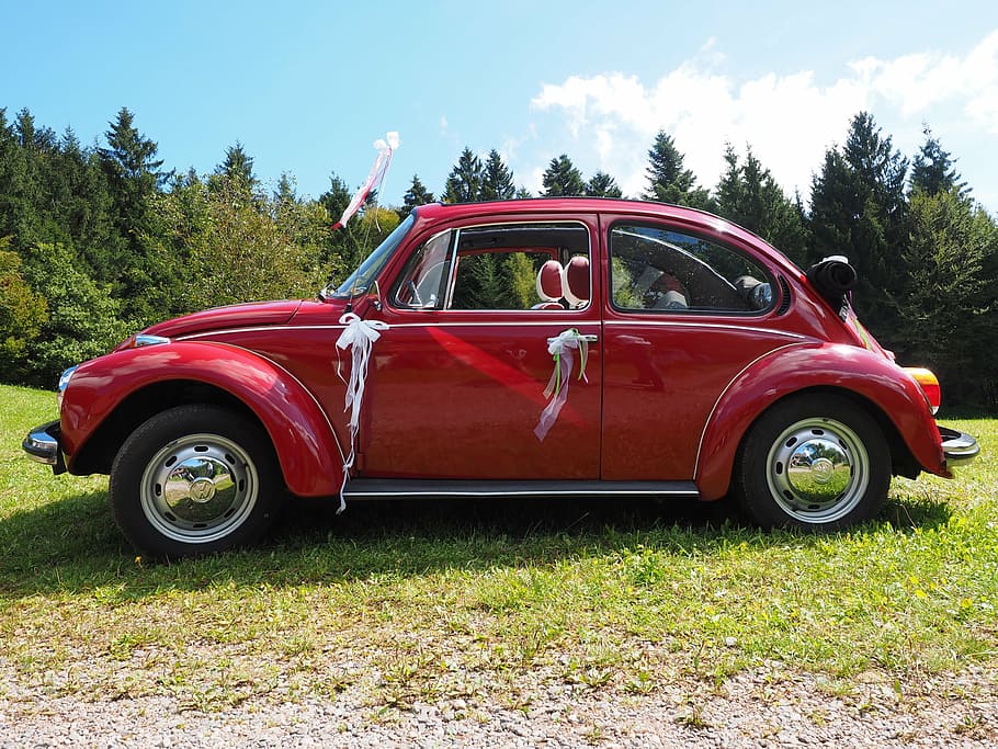 vw beetle, bridal car, auto, oldtimer, vehicle, classic, volkswagen HD wallpaper