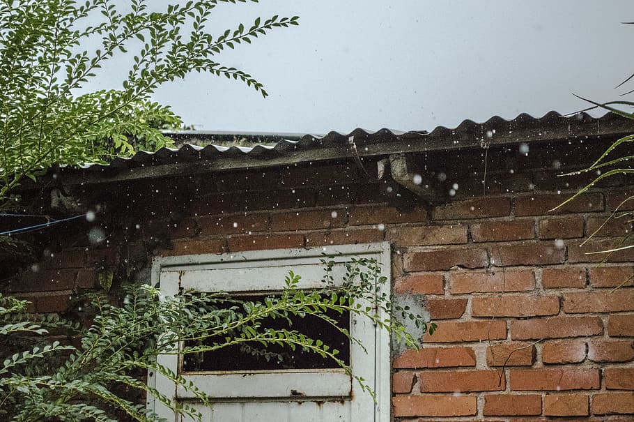 rain pouring on brick wall house, green leaf plants beside brown concrete house during rainy day HD wallpaper