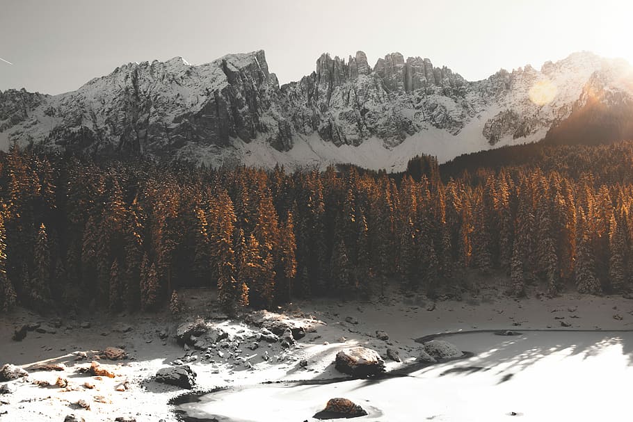 green leaf trees near snow covered mountains at daytime, aerial view photo of brown trees under mountain HD wallpaper