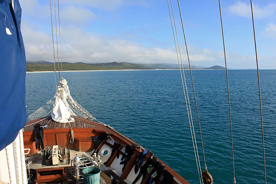 ship, bug, boot, sea, sailing vessel, water, nautical vessel HD wallpaper