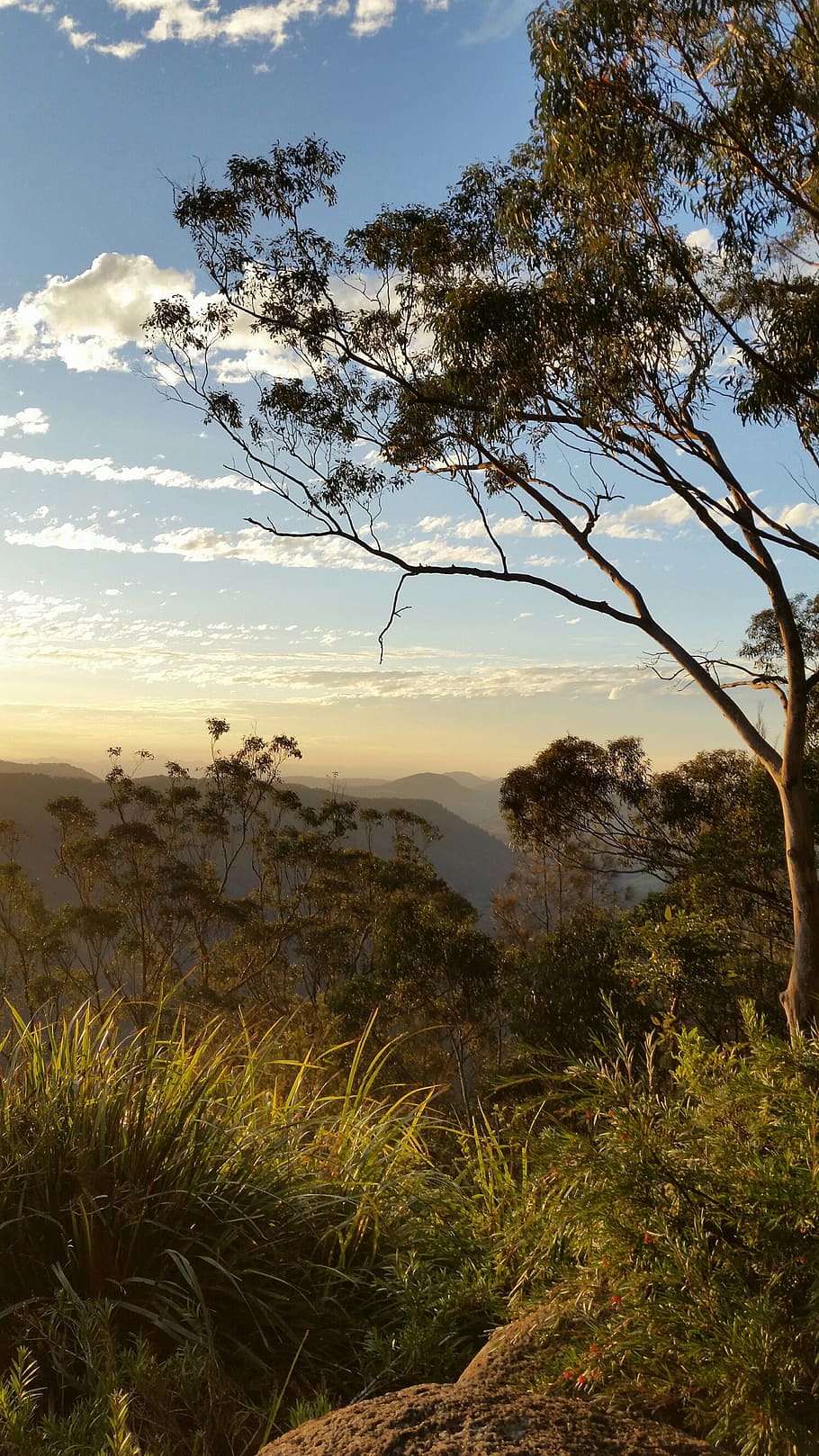 sunset, clouds, hills, australian bush, binna burra, plant, HD wallpaper