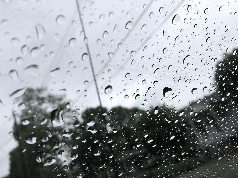 water dew on clear glass at daytime, drops, raining, wet, window HD wallpaper