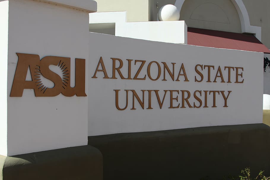 Asu Fabric, Wallpaper and Home Decor | Spoonflower