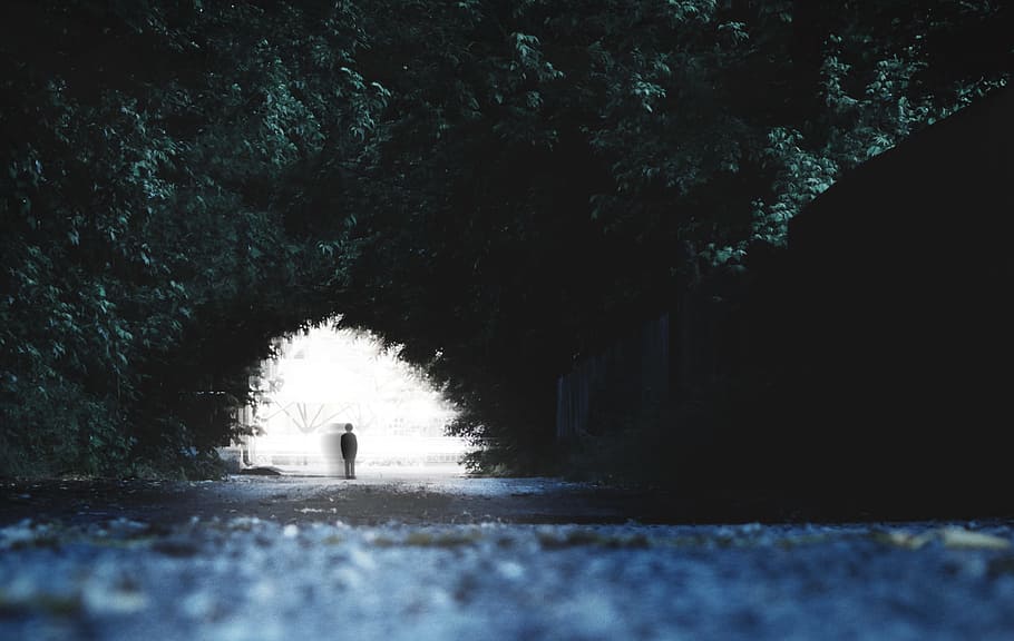 person standing beside white painted wall surrounded by trees, untitled HD wallpaper
