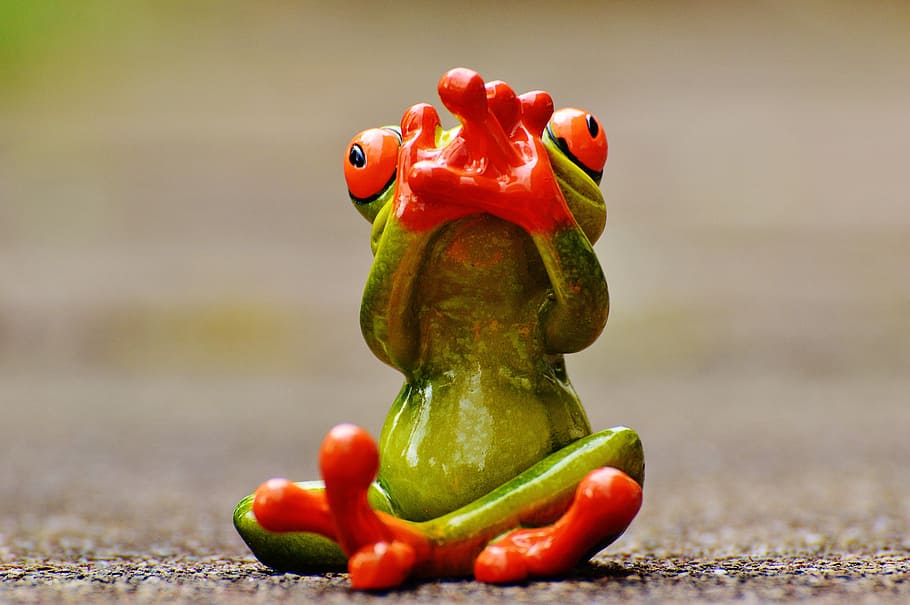 frog, figure, do not speak, funny, cute, sit, animal, frogs HD wallpaper