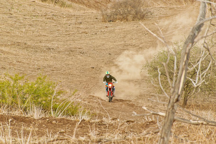 motocross, forest, man, land, ride, plant, riding, day, nature HD wallpaper