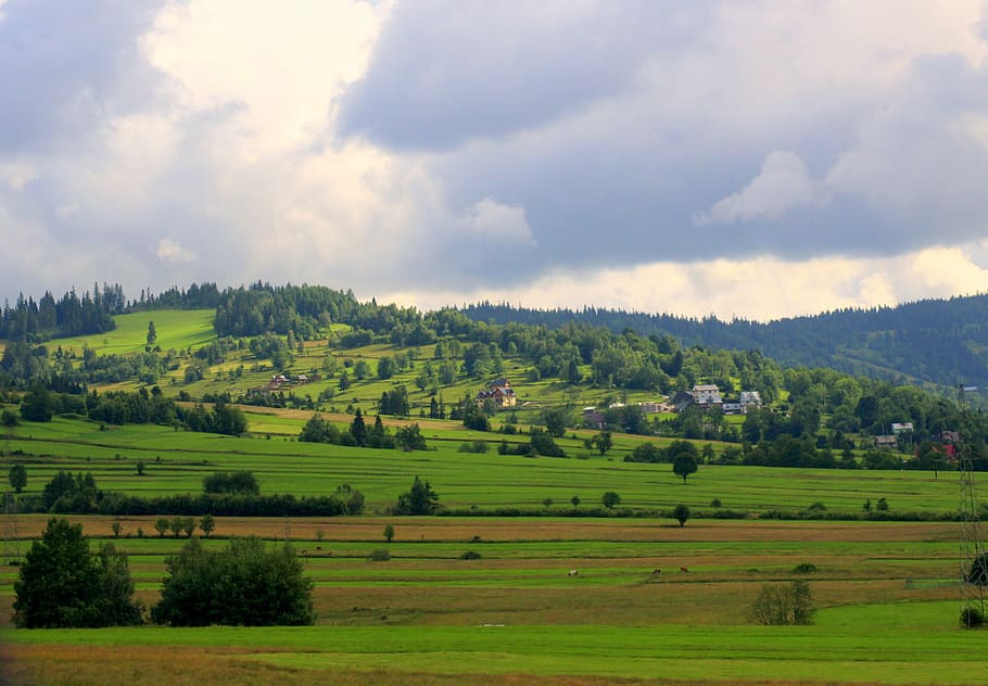 green grass field, landscape, panorama, summer, view, nature HD wallpaper