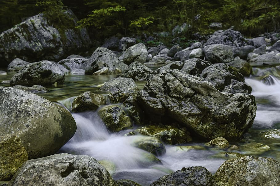 water, inject, forest, landscape, nature, river, beautiful HD wallpaper