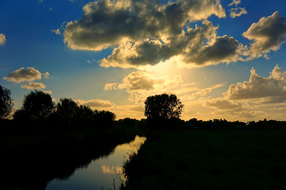 silhouette of gras under yellow sky, sunset, clouds, landscape HD wallpaper