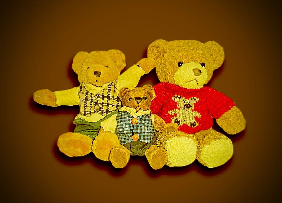 Teddy Bear, Brown Bear, Mammal, animal, predator, fur, toys HD wallpaper