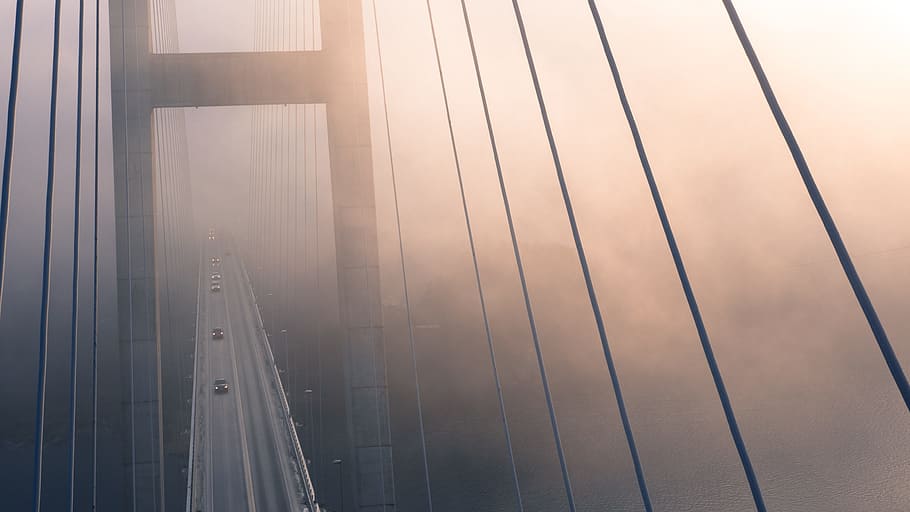 bridge, architecture, structure, infrastructure, fog, car, transportation HD wallpaper