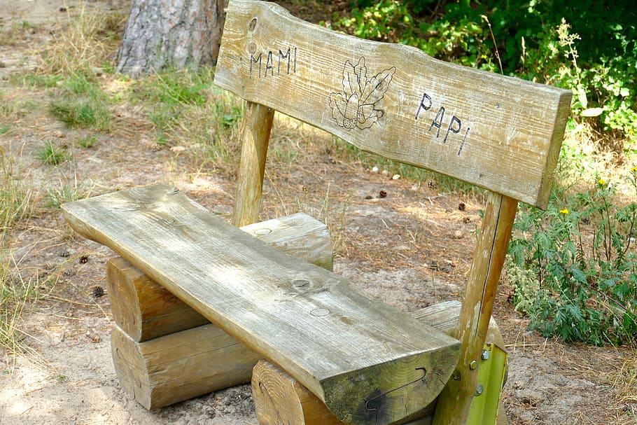 Bank, Wood, Forest, Nature, Unique, seat, sit, benches, old, HD wallpaper