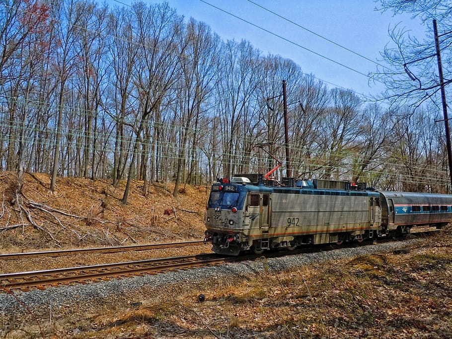gray train surrounded by treees, Amtrak, Train, Travel, Transportation