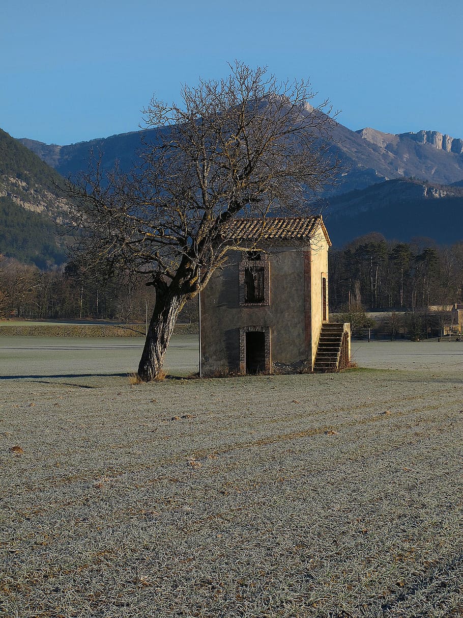 cabin, diois, house, vine, drôme, france, vercors, field, mountain HD wallpaper