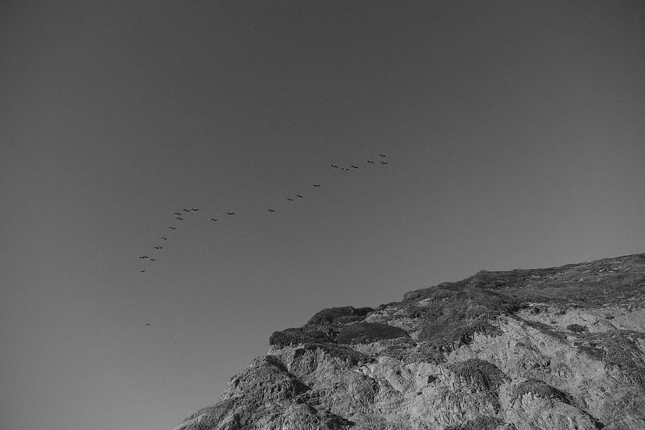 grayscale photography of flying birds above mountain range HD wallpaper