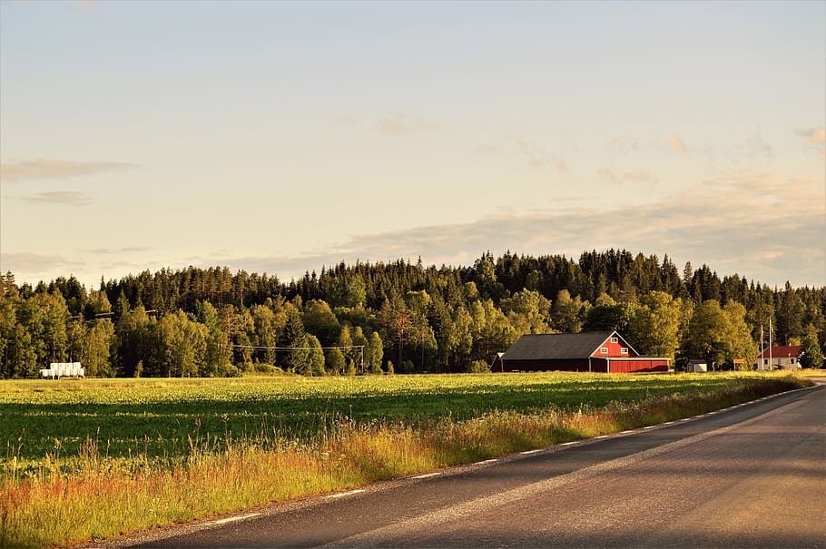 road, landscape, nature, sky, barn, clouds, countryside, daylight HD wallpaper