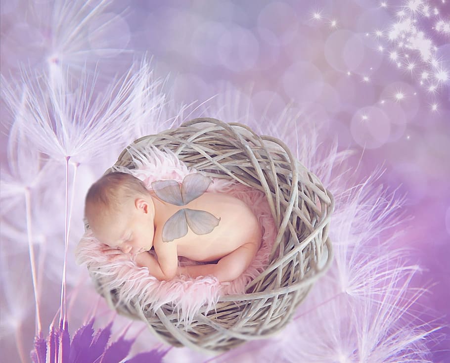 baby on wicker nest, dandelion, female, girl, bokeh, pink, purple