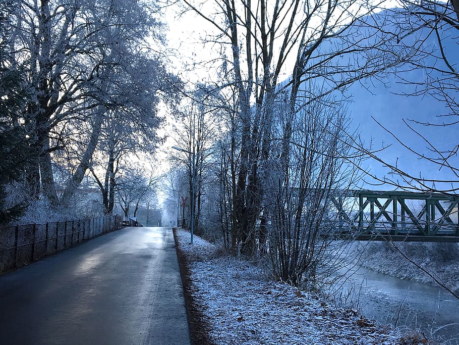 Winter, Wintry, Back Light, Hoarfrost, cold, mood, sunrise HD wallpaper