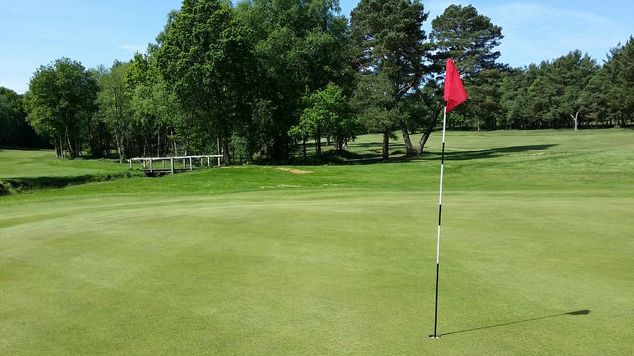 flag pole near tree during daytime, golf, golf course, green, HD wallpaper