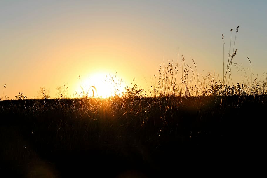 sunset, nature, sky, landscape, colors, summer, evening, light HD wallpaper