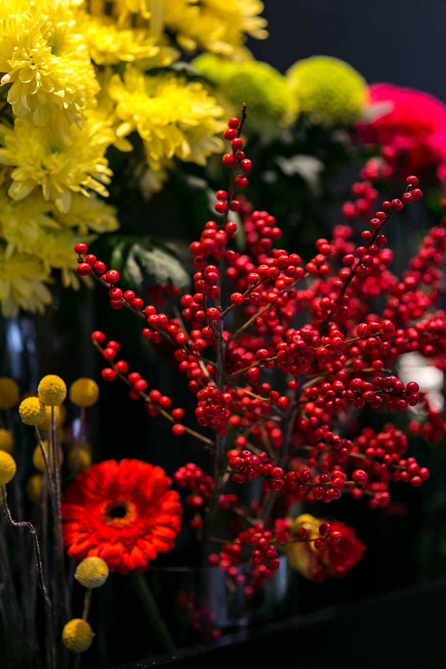 Red rowan with a colourful arrangement of flowers, flora, yellow HD wallpaper