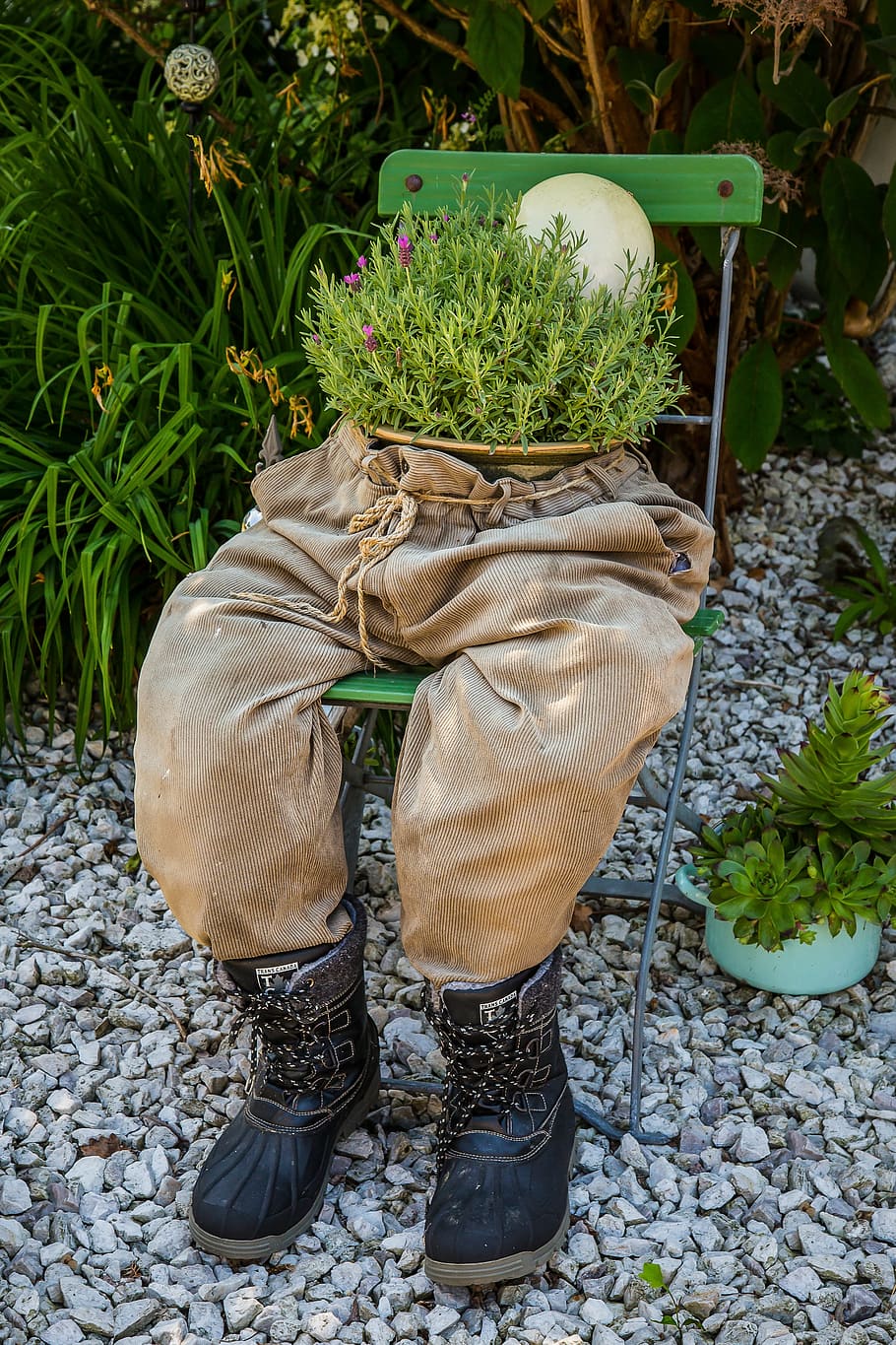 torso, pants, herbs, garden, plant, growth, nature, one person HD wallpaper