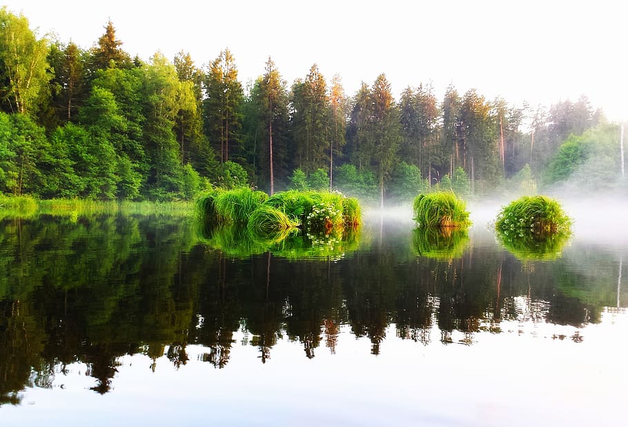 lake during daytime, River, Pool, Water, Peace Of Mind, the silence HD wallpaper