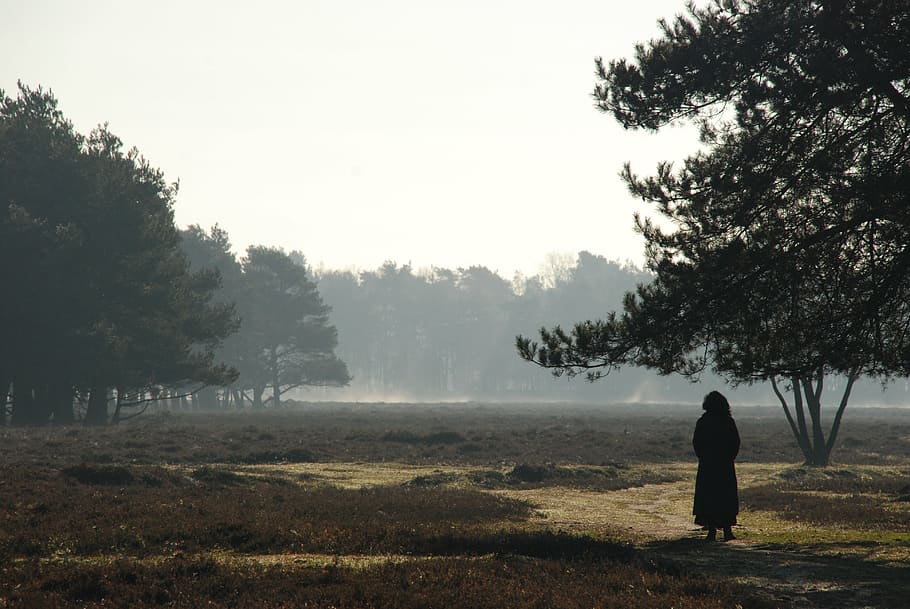 silhouette of person standing on barren field at foggy day HD wallpaper