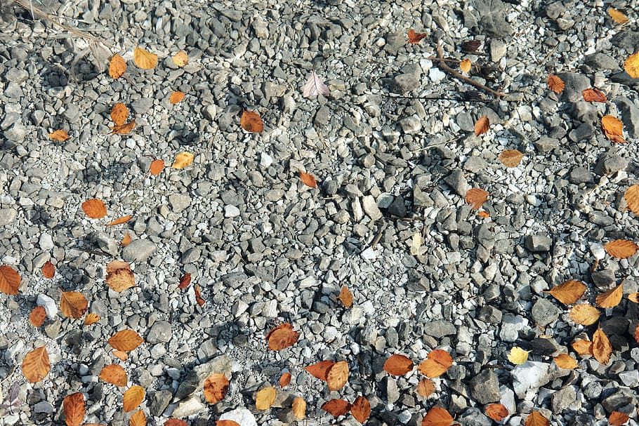 coast, rocks, stone, leaf, fall, autumn, nature, gravel, full frame HD wallpaper
