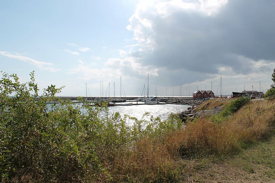 port, marup, samsø, clouds, sun, sky, cloud - sky, plant, architecture HD wallpaper
