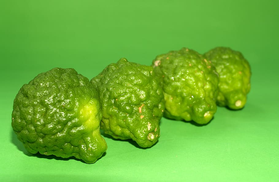 bergamot, fruit, leaf, isolated, thailand, rough, lemon, natural HD wallpaper