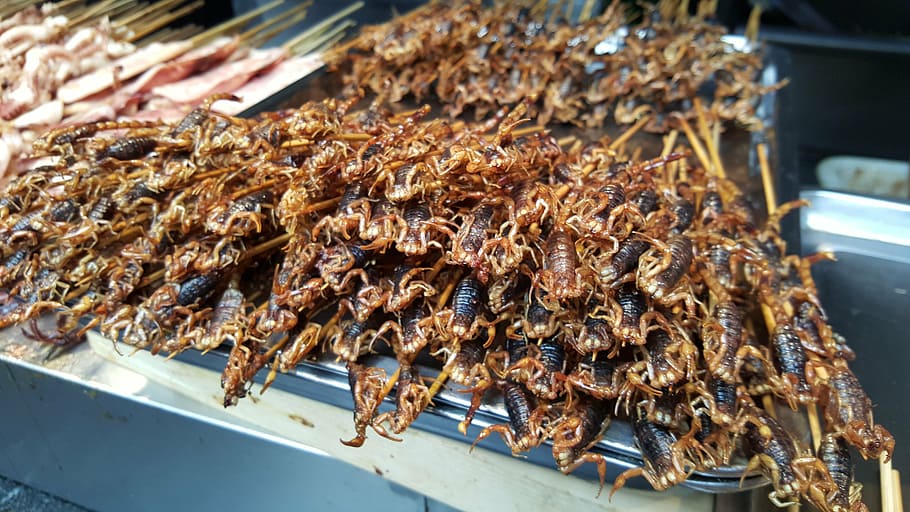 scorpions, chinese food, chinese cuisine, animal, food and drink