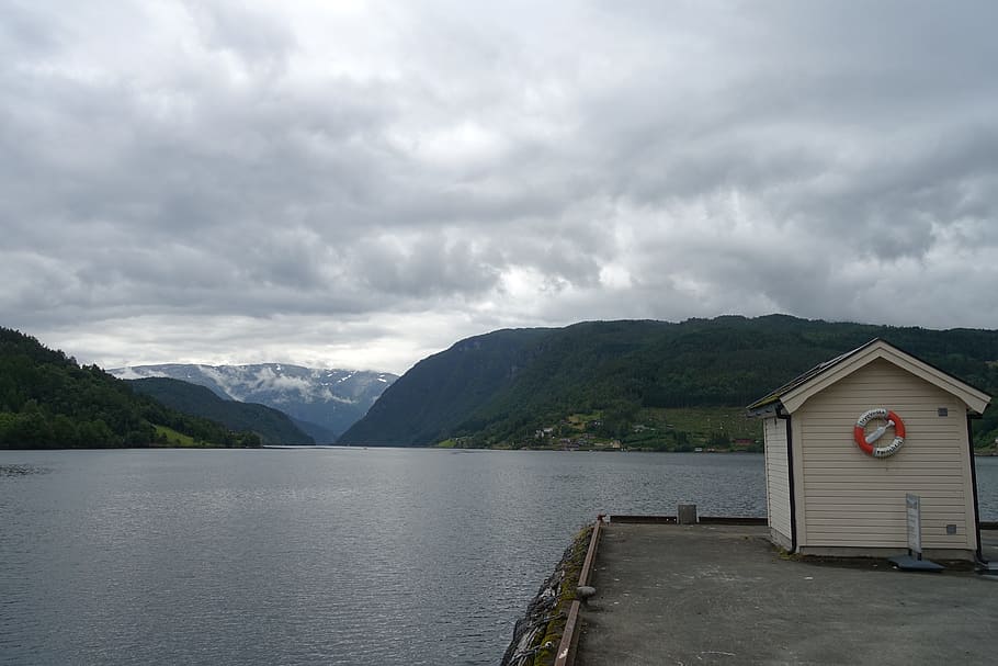 fjord, norway, hardanger, ulvik, nordic, cruise, tourism, landscape, HD wallpaper