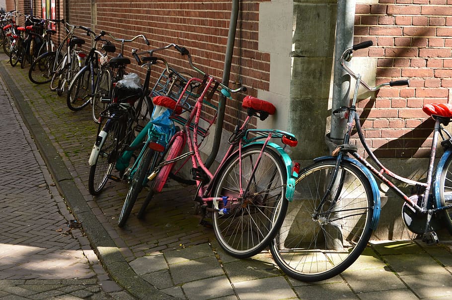 amsterdam, bicycles, netherlands, transportation, mode of transportation HD wallpaper