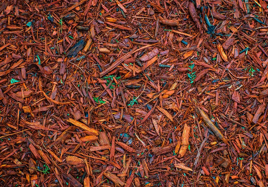 patterns, forms, design, texture, decoration, colorful, nature HD wallpaper