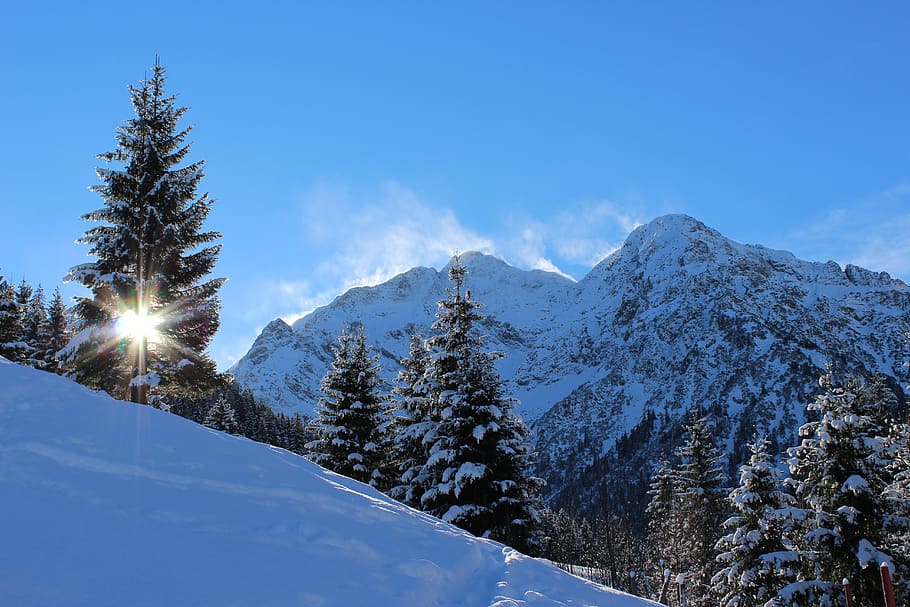 snow covered mountain with trees during daytime, winter, mountains HD wallpaper