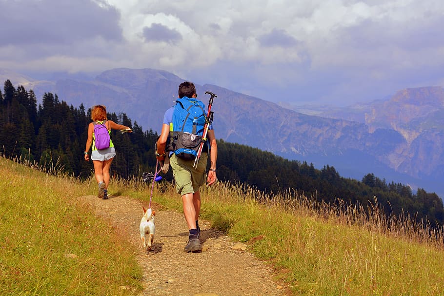 excursion, trail, people, couple, dog, prato, grass, trees HD wallpaper