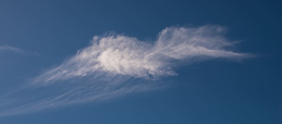 clouds, white, blue, fluffy, delicate, pattern, sky, bird shape HD wallpaper