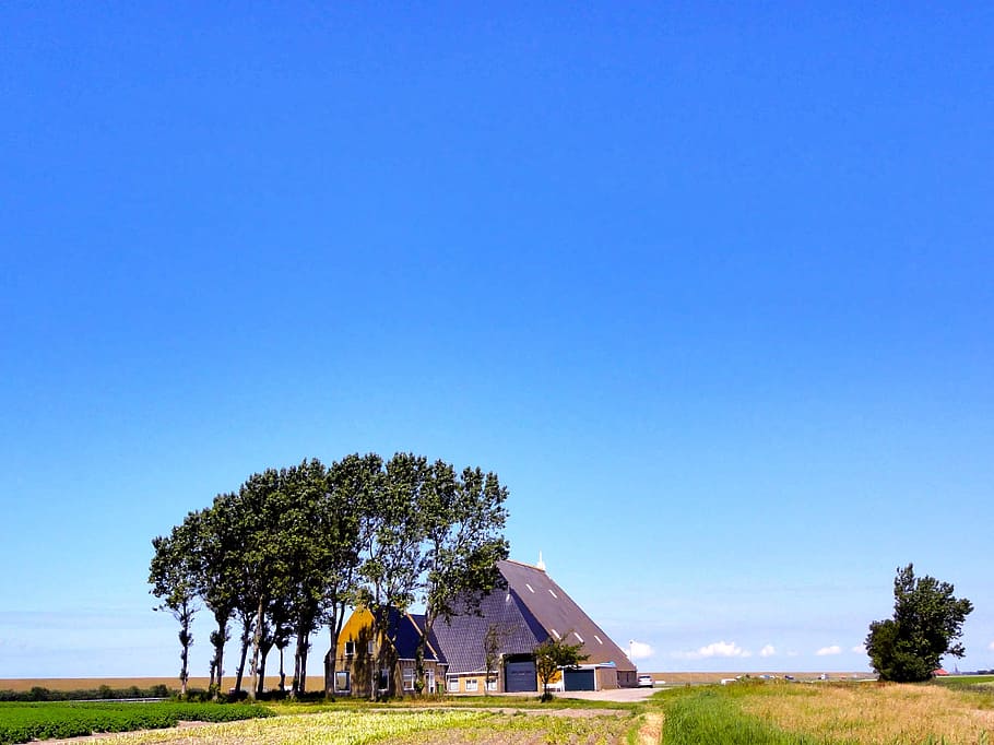Netherlands, Landscape, Scenic, Trees, house, home, architecture HD wallpaper
