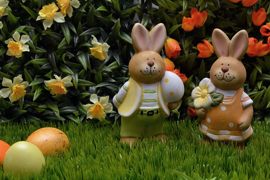 Easter Bunny, Bunny, Rabbit, easter eggs, yellow, orange, flowers HD wallpaper