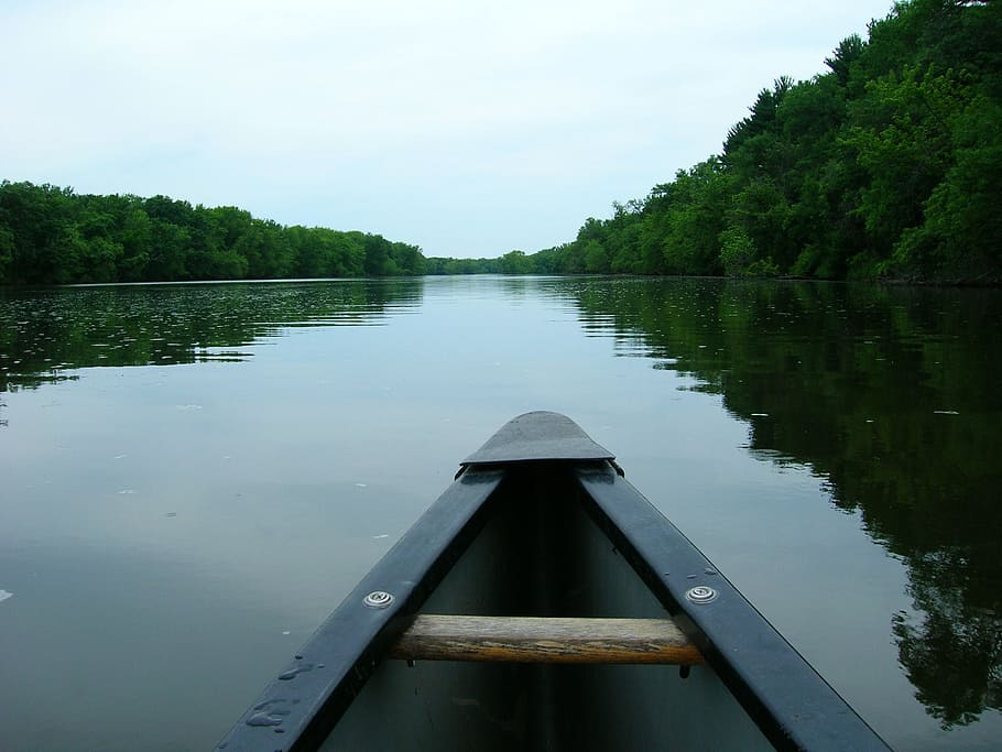 canoe, lake, canoeing, water, reflection, tree, plant, tranquility HD wallpaper