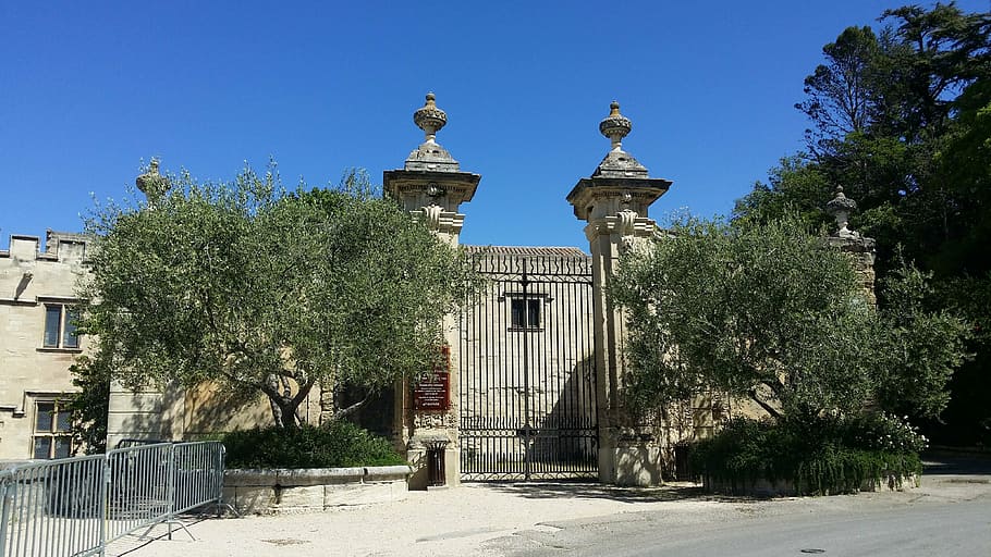 olive trees, entry, portal, avignon, property, city, summer HD wallpaper